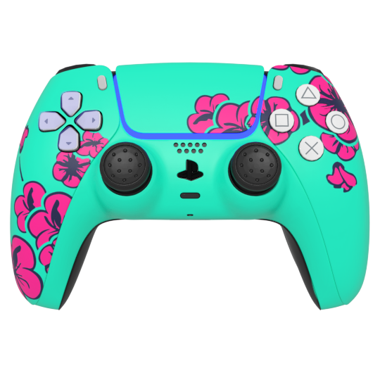 Arizona Sadboy - PS5 Esports Edition
