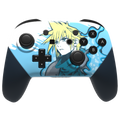 Cloud (PRO)