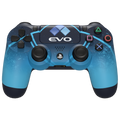 EVO 2024 (PS4)