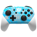 Shine Tournament 2018 (PRO)